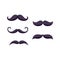 Hipster moustache set - isolated black mustache hair collection
