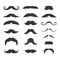 Hipster Mustache Big Set on White Background. Vector