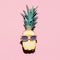 Hipster Pineapple Fashion Accessories and fruits.