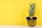 Hipster pineapple with sunglasses against yellow wood