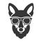 Hipster Red Fox Face in Glasses. Vector