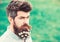 Hipster on suspicious face, grass background, copy space. Spring freshness concept. Man with beard and mustache enjoy