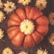 Hipster toned top flat pumpkin on wooden background.