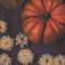 Hipster toned top flat pumpkin on wooden background.