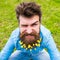 Hipster on winking face sits on grass, defocused. Spring season concept. Guy with lesser celandine flowers in beard