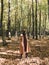 Hipster woman in hat and coat traveling in autumn sunny forest with fall leaves. Stylish traveler girl exploring autumn woods,