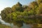 Hiran river as it passes through Sasan.