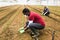 Hire workers in protective medical masks control the growth of seedlings