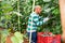 Hired latino worker picks crop of cucumbers in greenhouse