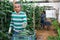 Hired latino worker picks crop of cucumbers in greenhouse