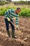 Hired worker with hoe cultivates garden beds