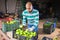 Hired worker man sorts green tomatoes in the backyard