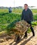 Hired worker pushing wheelbarrow with onions on the plantation