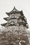 Hirosaki Castle in winter