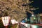 Hirosaki city street view light up at night in springtime cherry blossom season