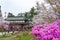 Hirosaki Park in springtime cherry blossom season sunny day at Otemon Gate Entrance
