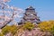 Hiroshima Castle During Cherry Blossom Season