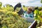 Hispanic farm worker loading freshly picked grapes in truck