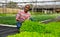 Hispanic farmer offering seedlings of green lettuce in greenhouse