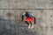 Hispanic Man doing jumping up. Core outdoor workout. Fit man athlete exercising urban background.