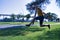 Hispanic mature adult man with a hat in hand jumping for joy on a park lawn on a sunny day