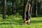 Hispanic practicing yoga in the forest