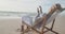 Hispanic senior woman relaxing on sunbed on beach at sunset, using smartphone