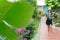 Hispanic Woman choosing plants at home. Urban Jungle Concept