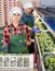 Hispanic woman sorting and packing ripe Hass avocados