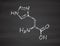 Histidine l-histidine, his, H amino acid molecule.