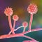 Histoplasma capsulatum fungus, 3D illustration