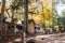 Historic abandoned Element cabins in Great Smoky Mountain National Park.