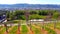 Historic Amphitheater Trier, panorama view