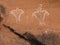 Historic Anasazi Figure Pictograms