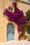 Historic Architecture in Mdina