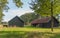 Historic barns in a Dutch landscape