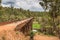 Historic bridge over the Murray River destroyed by Lower Hotham forest fire February 2015