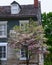 Historic Building, Flowering Tree, Dormer Window, Chimney