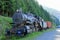 Historic Canadian Pacific Railway Steam Engine and Freight Cars, Sandon Ghost Town near New Denver, Selkirk Mountains, BC, Canada