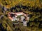 Historic castle Pieskowa Skala near Krakow in Poland. Aerial view in fall at sunrise in morning fog