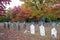 Historic Colonial Cemetery with Autumn Foliage