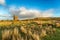 Historic Cornish Engine Houses