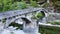 Historic curved stone bridge