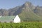 Historic Dutch Cape Architecture and Grape vines at Stellenbosch wine region, outside of Cape Town, South Africa