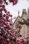 The historic facade of Notre Dame Cathedral in Paris in pink trees