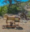 Historic Gold Mining Sluice Box  Prospectors used. They separated gold from sand and gravel. In Prescott Valley, Prescott National