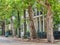 Historic Greek Revival Townhouses in Garden District of New Orleans