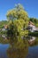 Historic half-timbered houses in Schiltach