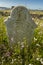 Historic Headstone of Moss Landing Founders