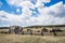 Historic Hornbeck Homestead Colorado Ranch Farm